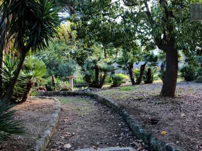 Scendiamo dall�auto per procedere su un sinuoso vialetto che ci conduce ai piedi della villa: siamo immersi nella natura, tra palme nane, chicas e pini